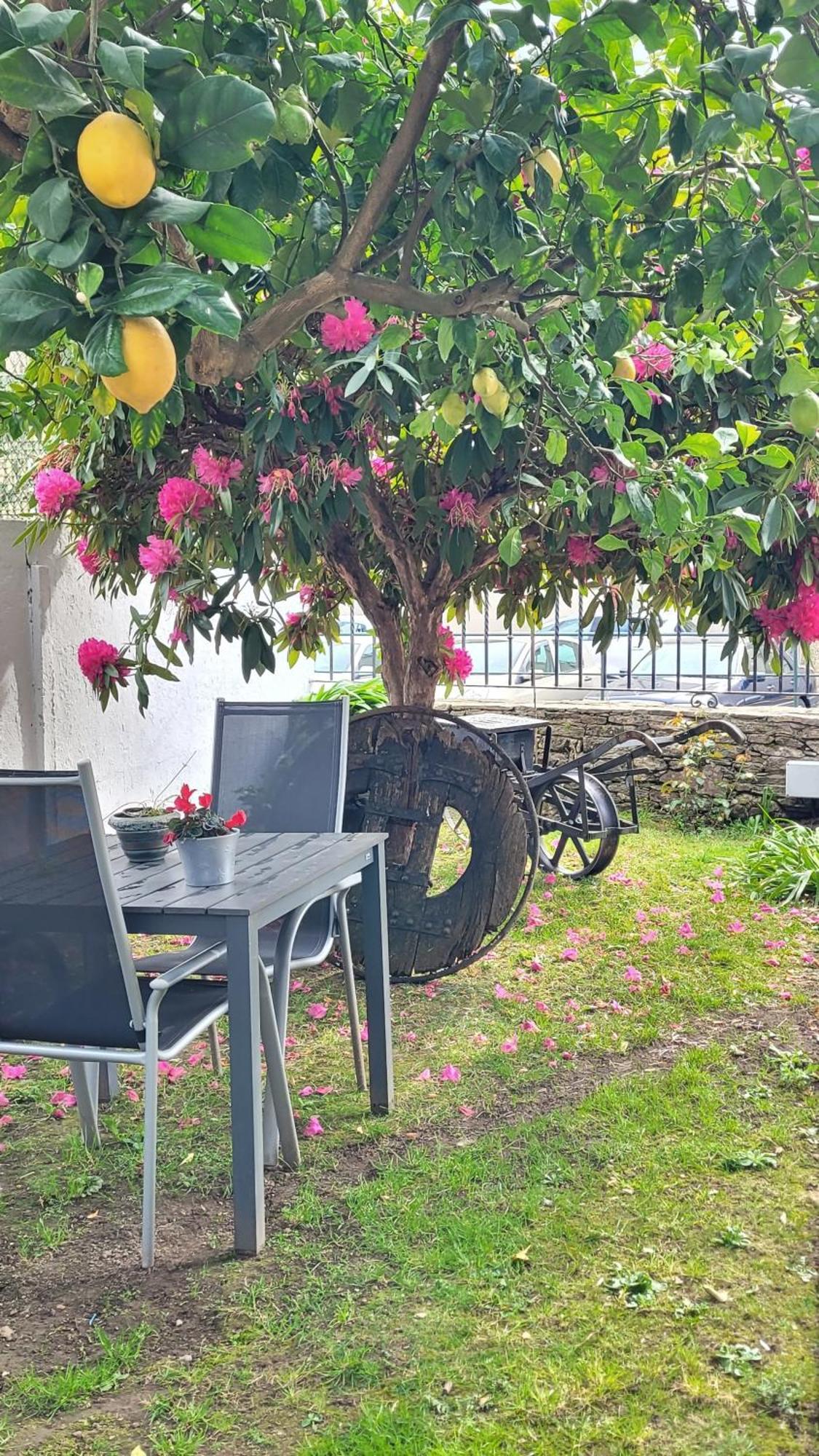 Besbello Suites Apartamento Сантяго де Компостела Екстериор снимка